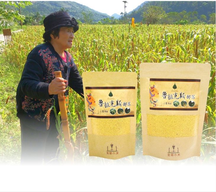 台灣原生金黃小米-魯拉克斯部落