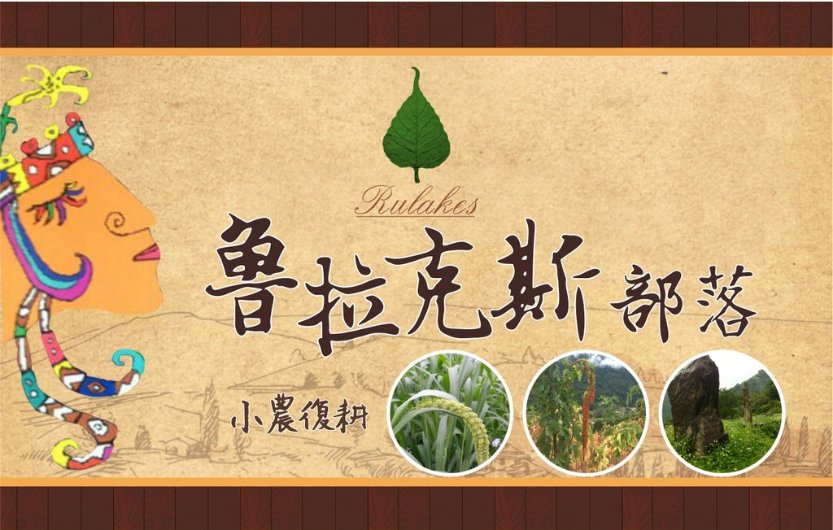 台灣原生金黃小米-魯拉克斯部落